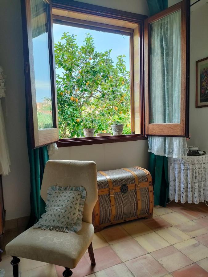 Bed and Breakfast La Finestra Sul Limone Castelvetrano Exteriér fotografie