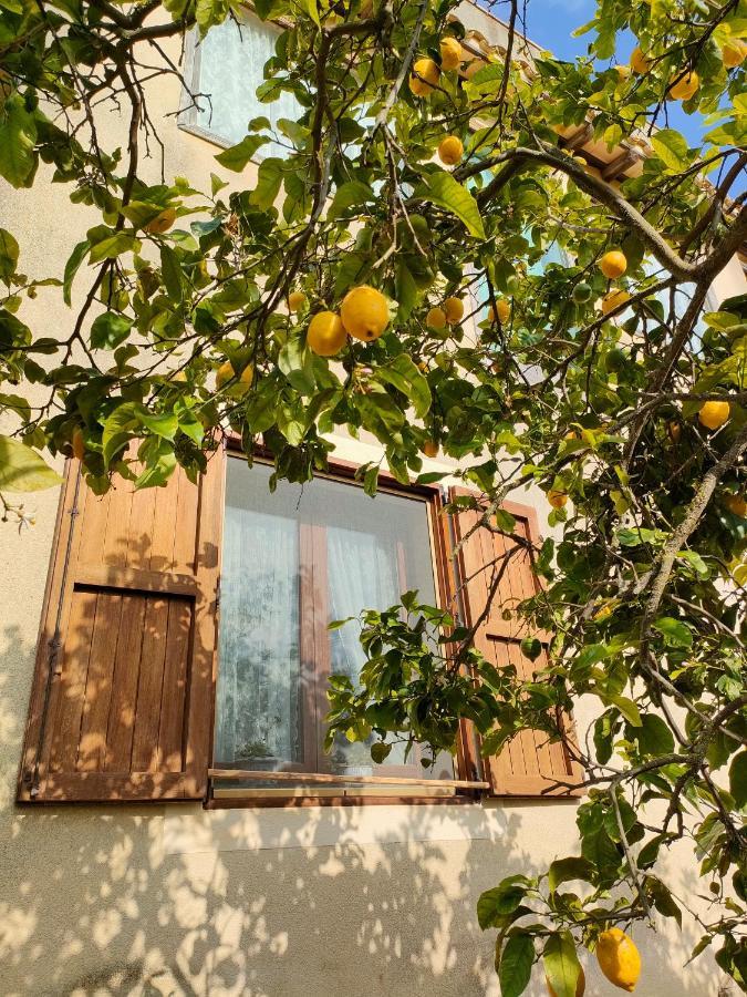 Bed and Breakfast La Finestra Sul Limone Castelvetrano Exteriér fotografie