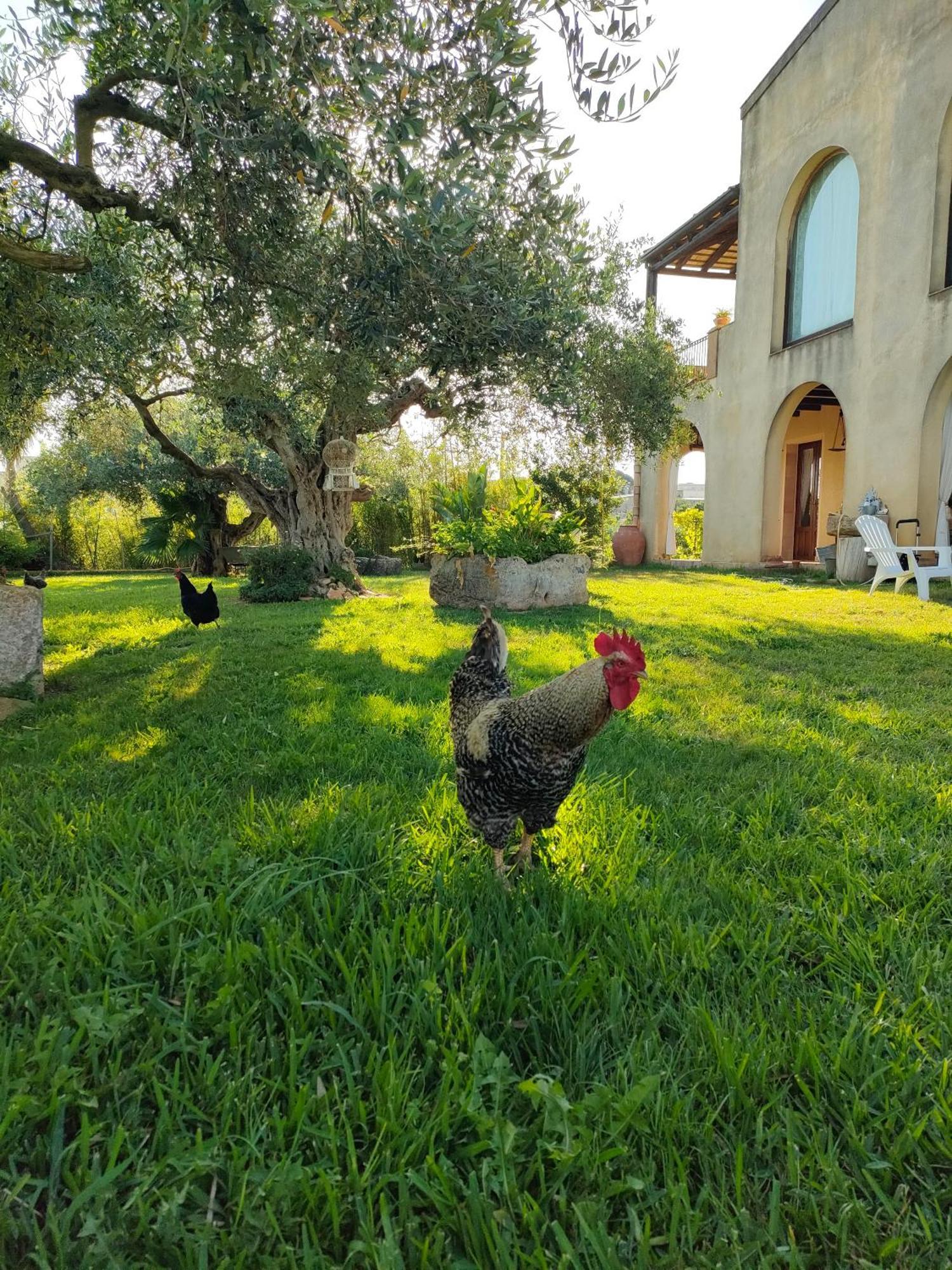 Bed and Breakfast La Finestra Sul Limone Castelvetrano Exteriér fotografie